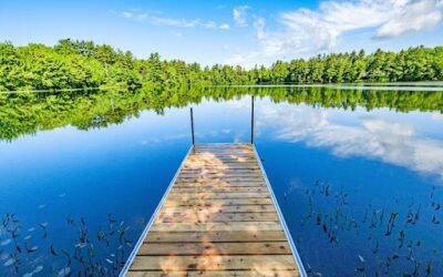 Exploring Maine: Tiny House Vacations Near Scenic Wonders in Maine