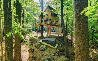 Treehouses for Adults—The Tiny Homes of the Sky